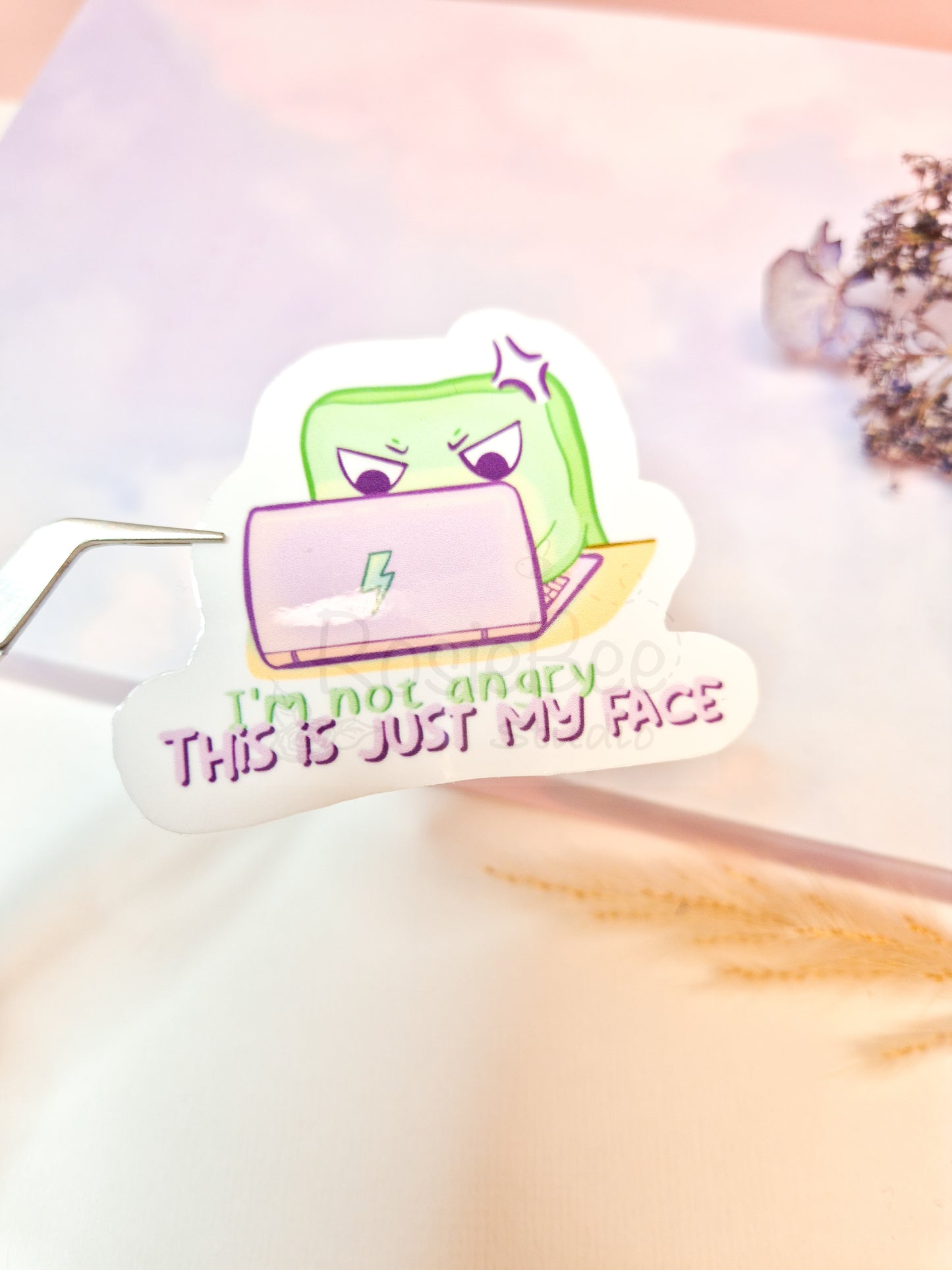 Angry Moji Friend | 'I'm Not Angry, This Is Just My Face' Die-Cut Sticker | Kawaii Quote Vinyl Sticker Moji Friends Design | Cute Pastel Planner Sticker
