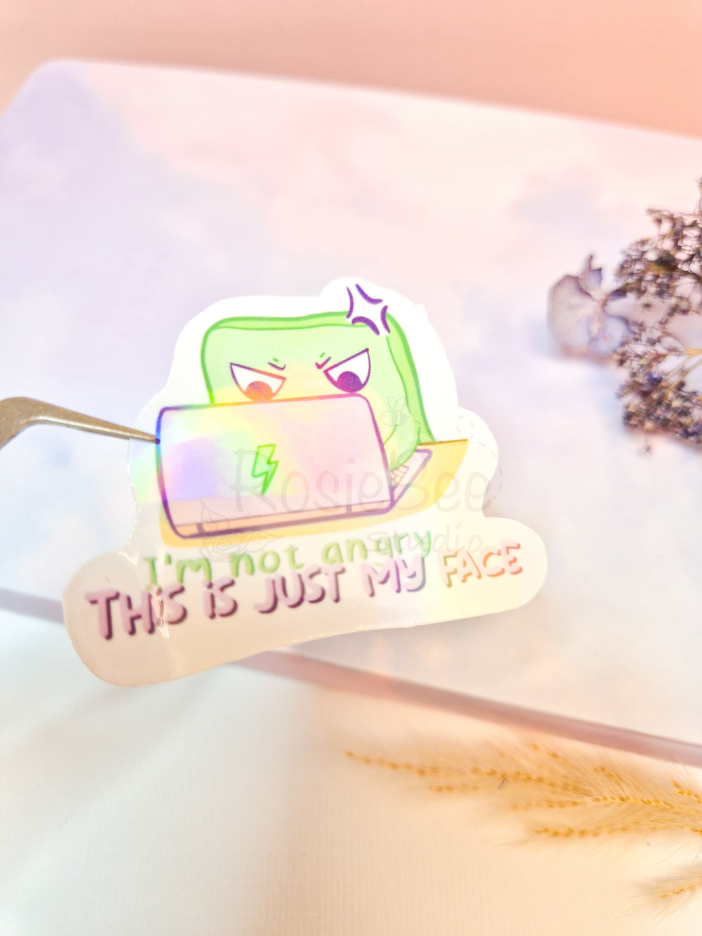 Angry Moji Friend | 'I'm Not Angry, This Is Just My Face' Die-Cut Sticker | Kawaii Quote Vinyl Sticker Moji Friends Design | Cute Pastel Planner Sticker